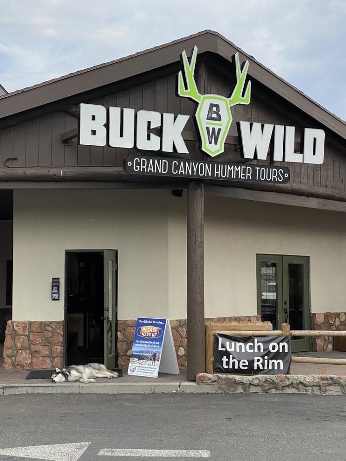 Images Buck Wild Hummer Tours