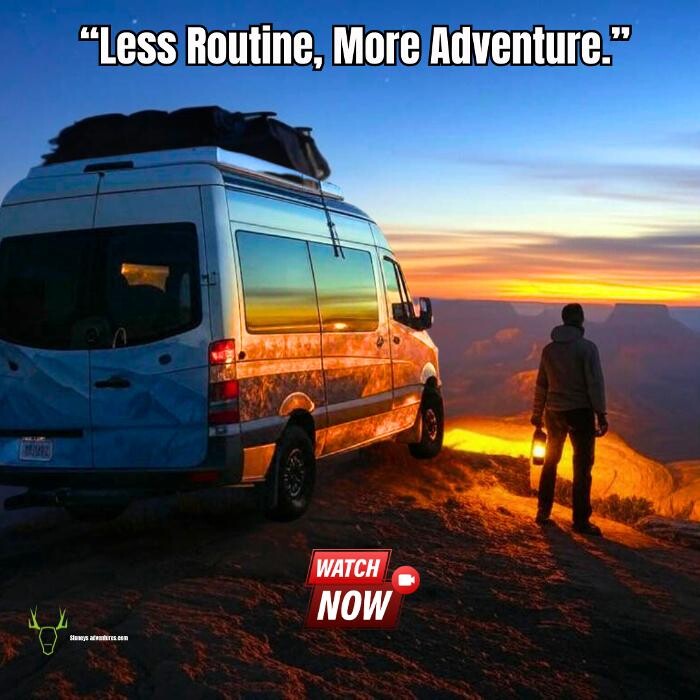 Images Buck Wild Hummer Tours