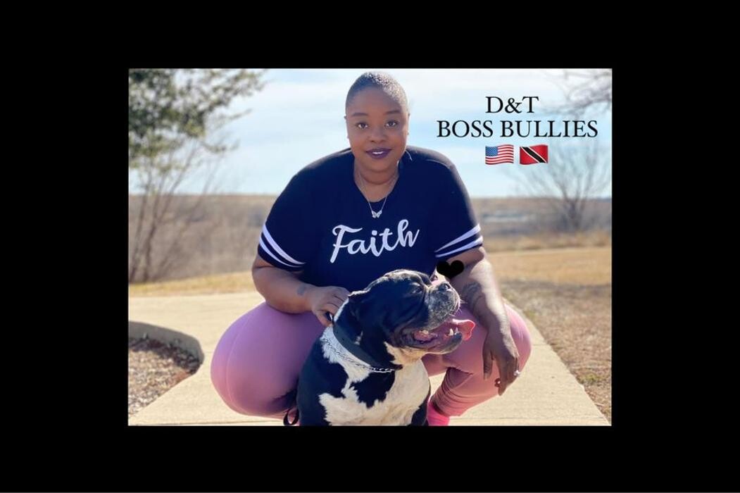 Images D&T Boss Bullies