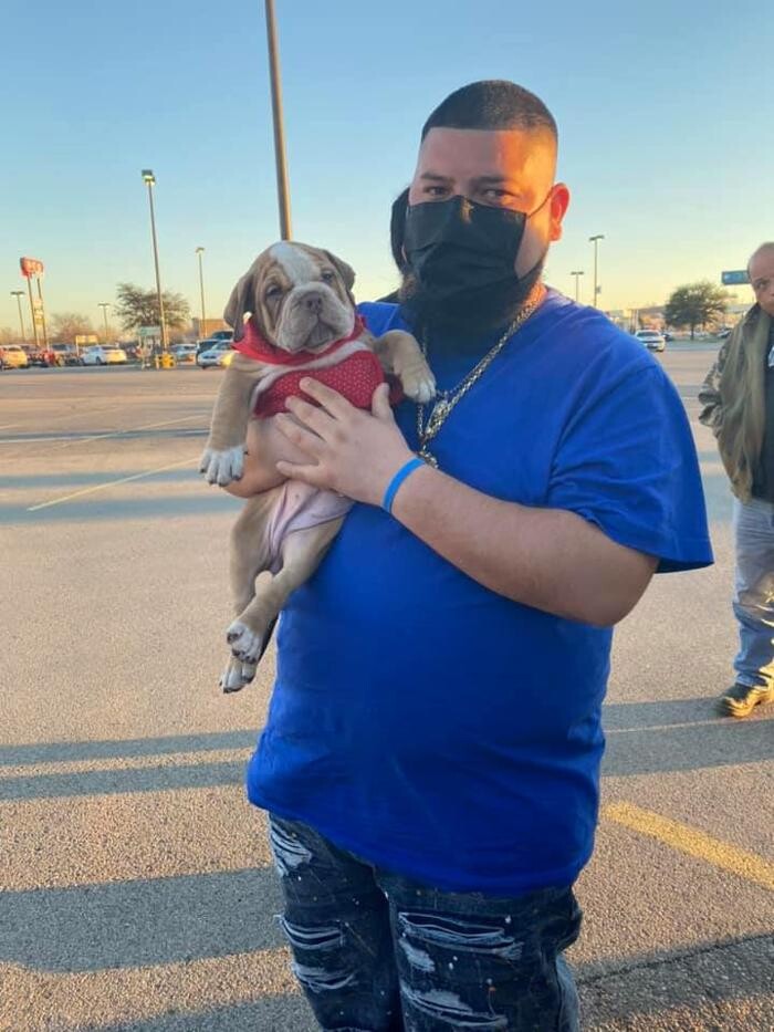 Images D&T Boss Bullies