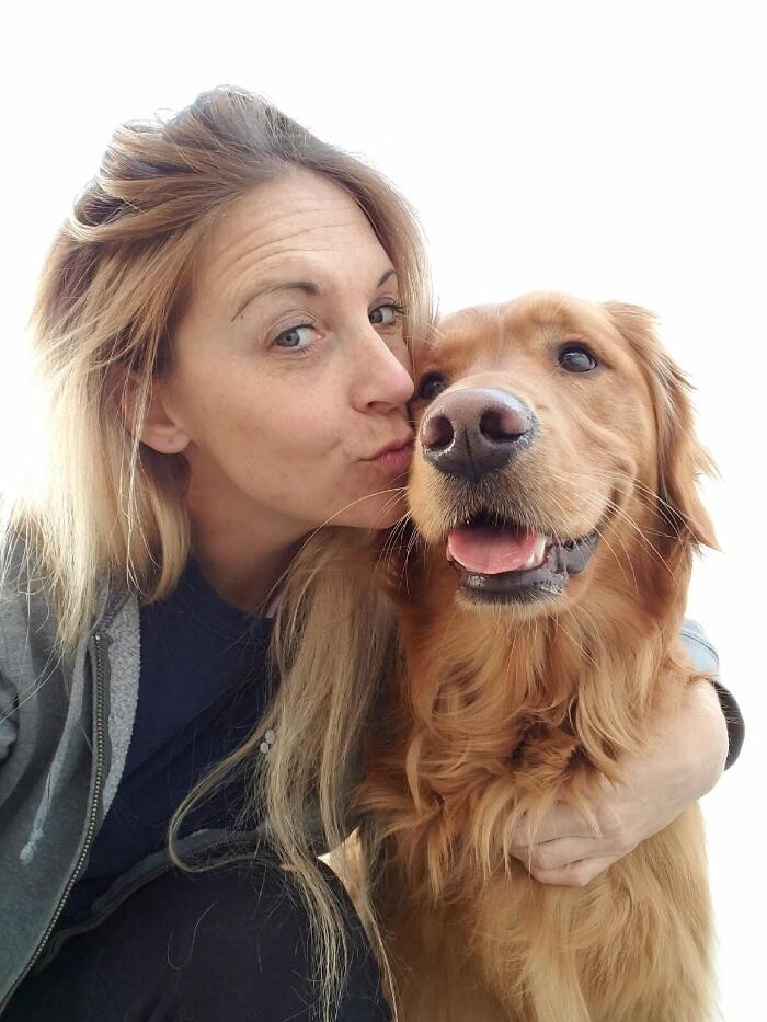 Images Hounds Town Commack Rd