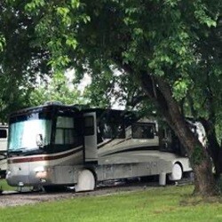 Wagon Master RV Park & Alpaca Farm Logo