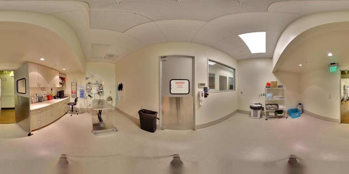 Images Veterinary Specialty Hospital - North County