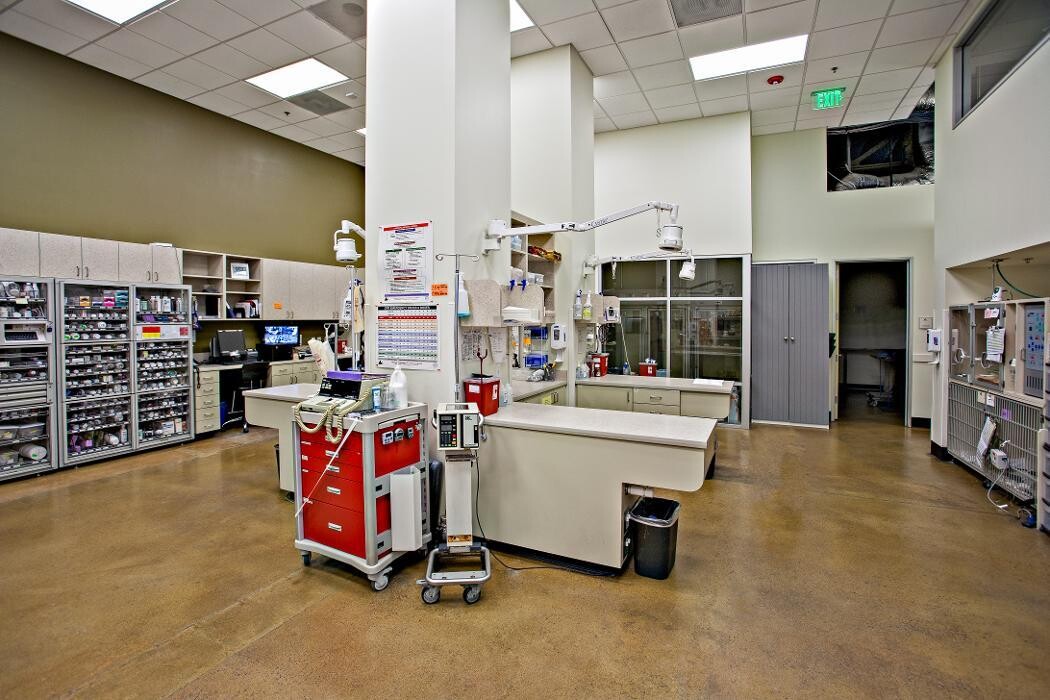 Images Veterinary Specialty Hospital - North County