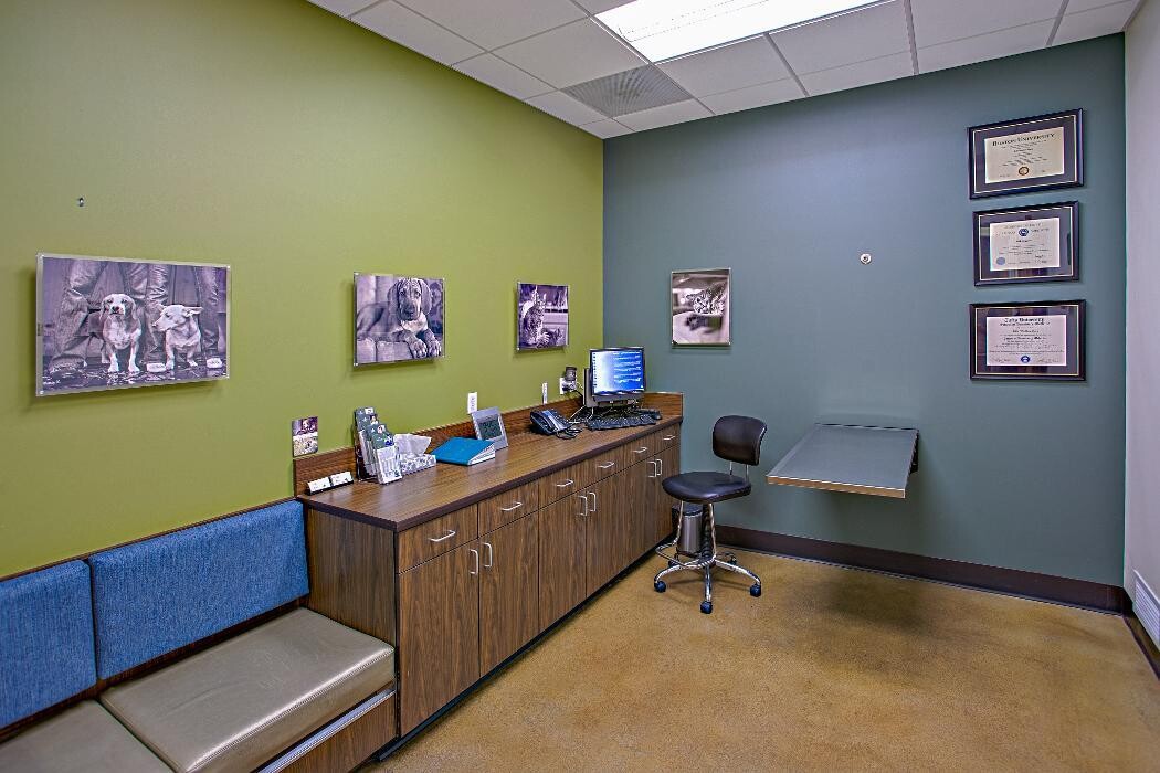 Images Veterinary Specialty Hospital - North County