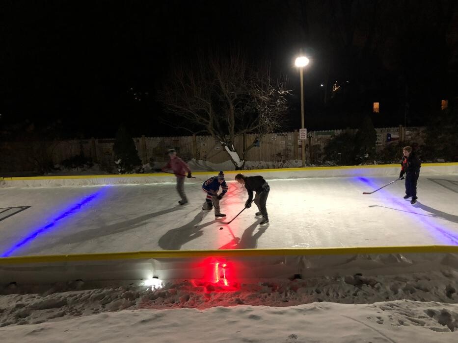 Images NiceRink