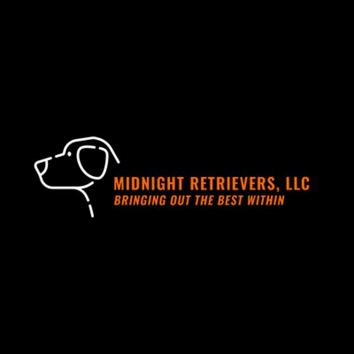 Images Midnight Retrievers LLC