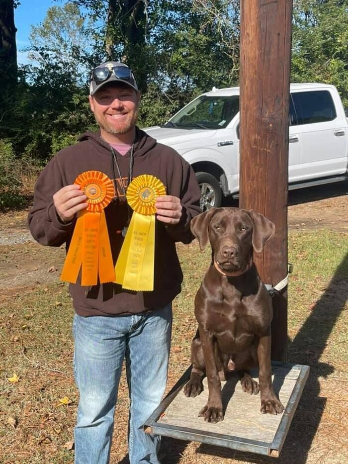 Images Midnight Retrievers LLC