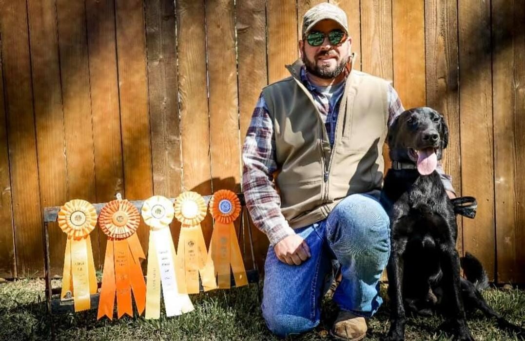 Images Midnight Retrievers LLC