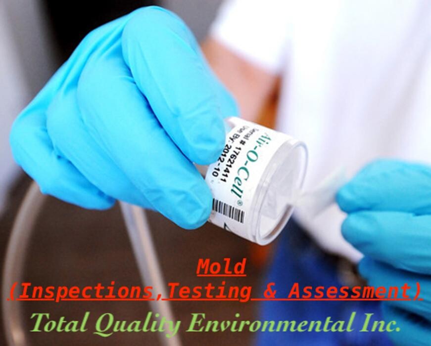 Images Total Quality Environmental