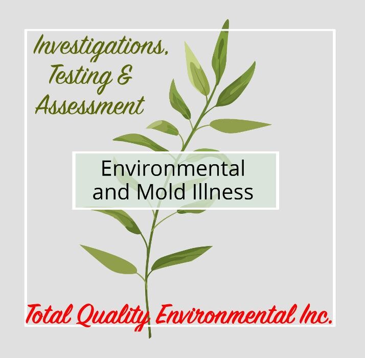 Images Total Quality Environmental