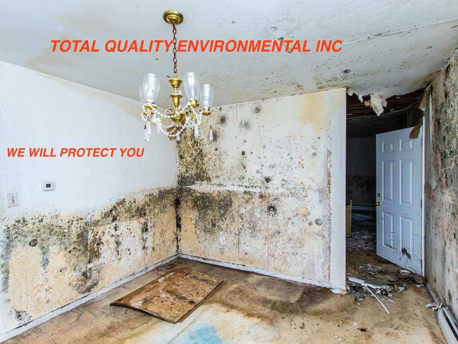 Images Total Quality Environmental