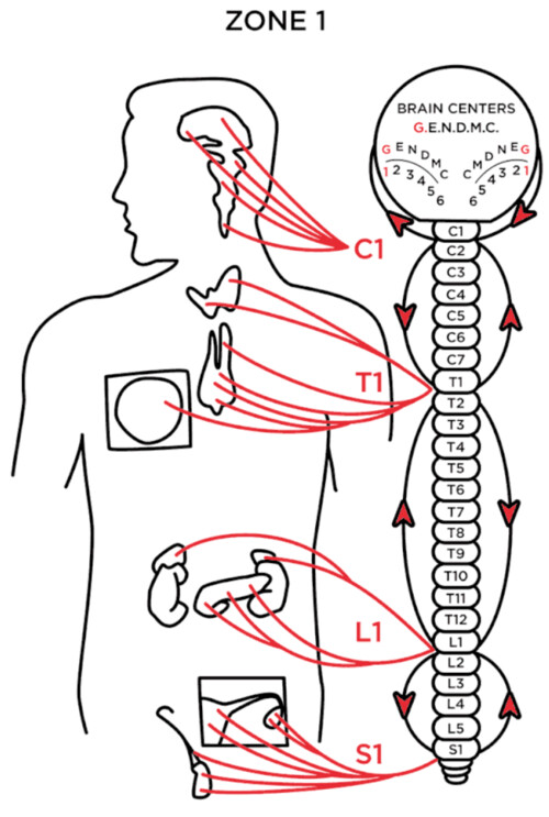 Images Dr. Michael Hecker Milwaukee Chiropractor