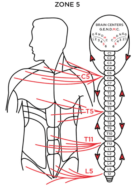 Images Dr. Michael Hecker Milwaukee Chiropractor
