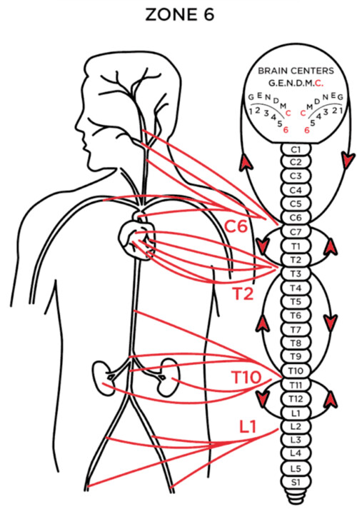 Images Dr. Michael Hecker Milwaukee Chiropractor