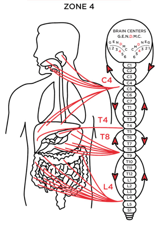 Images Dr. Michael Hecker Milwaukee Chiropractor