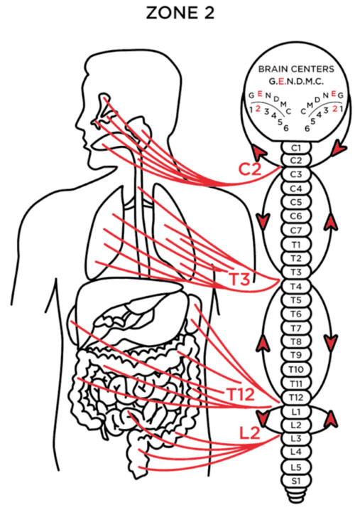 Images Dr. Michael Hecker Milwaukee Chiropractor