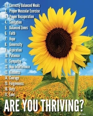 Images Dr. Michael Hecker Milwaukee Chiropractor