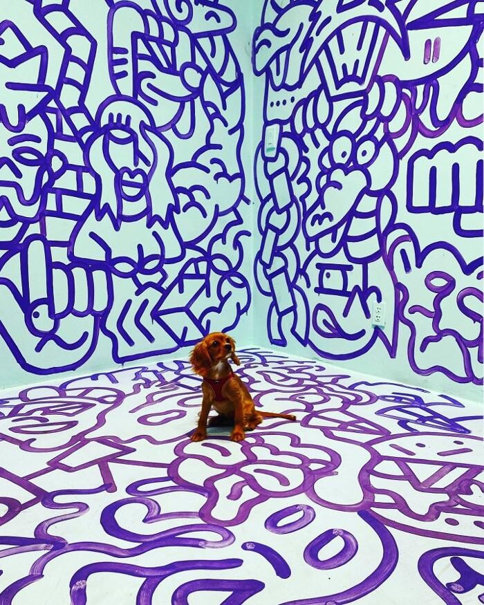 Images Museum of Graffiti
