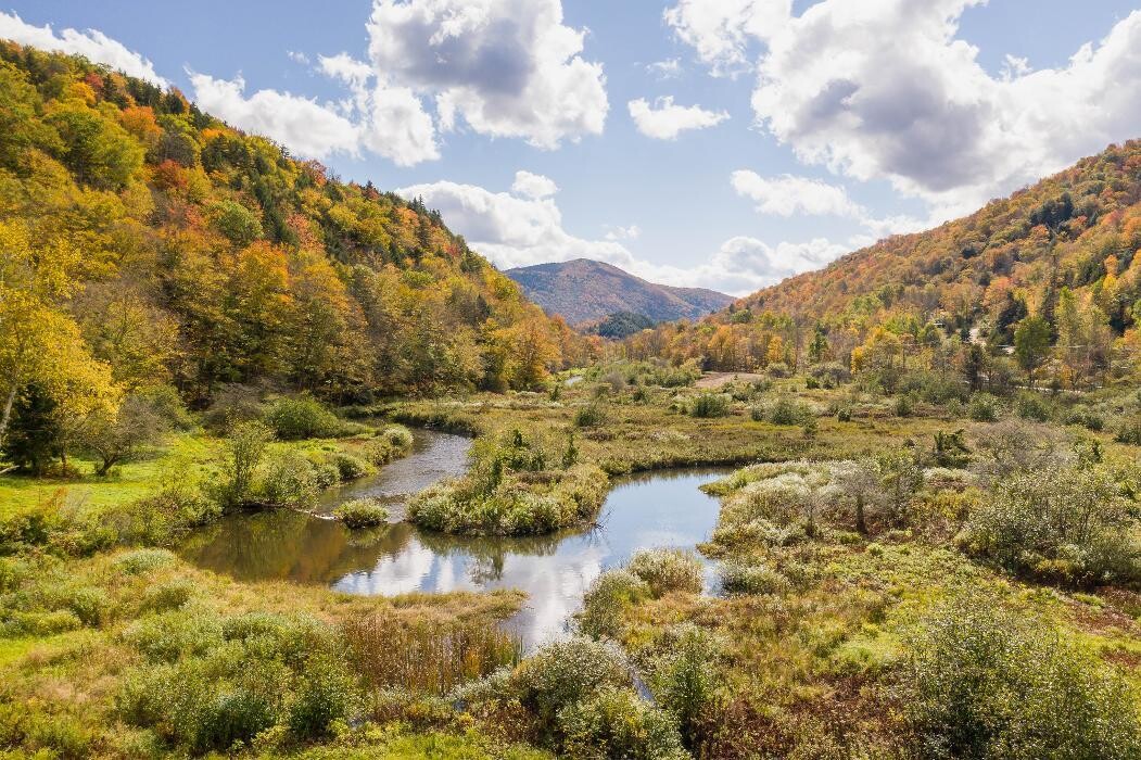 Images Mountainside Properties