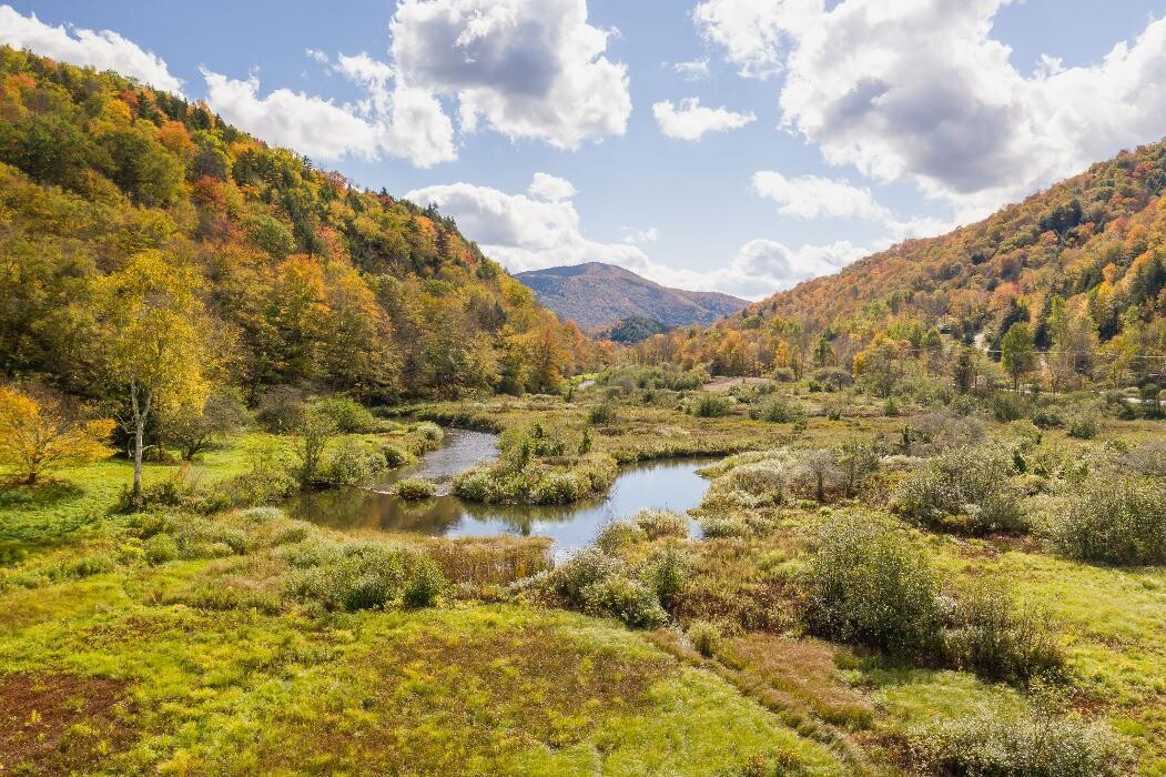 Images Mountainside Properties