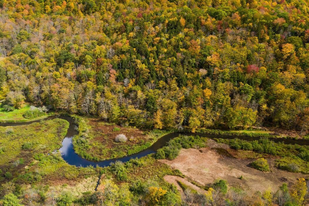 Images Mountainside Properties