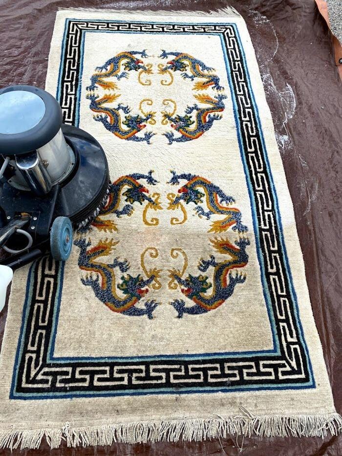 Images 3D Carpet Cleaners Hollywood FL