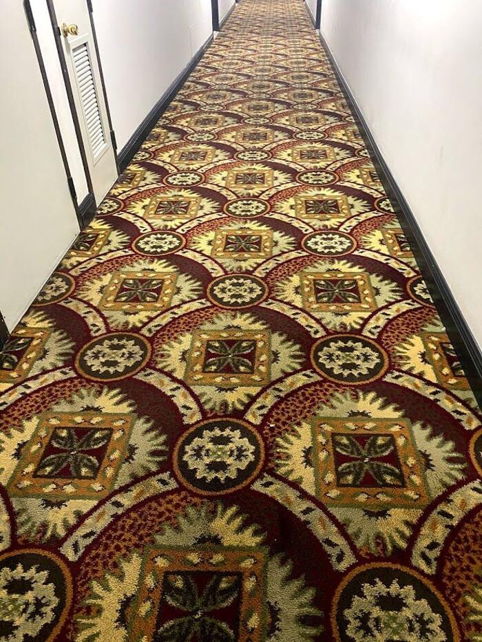 Images 3D Carpet Cleaners Hollywood FL