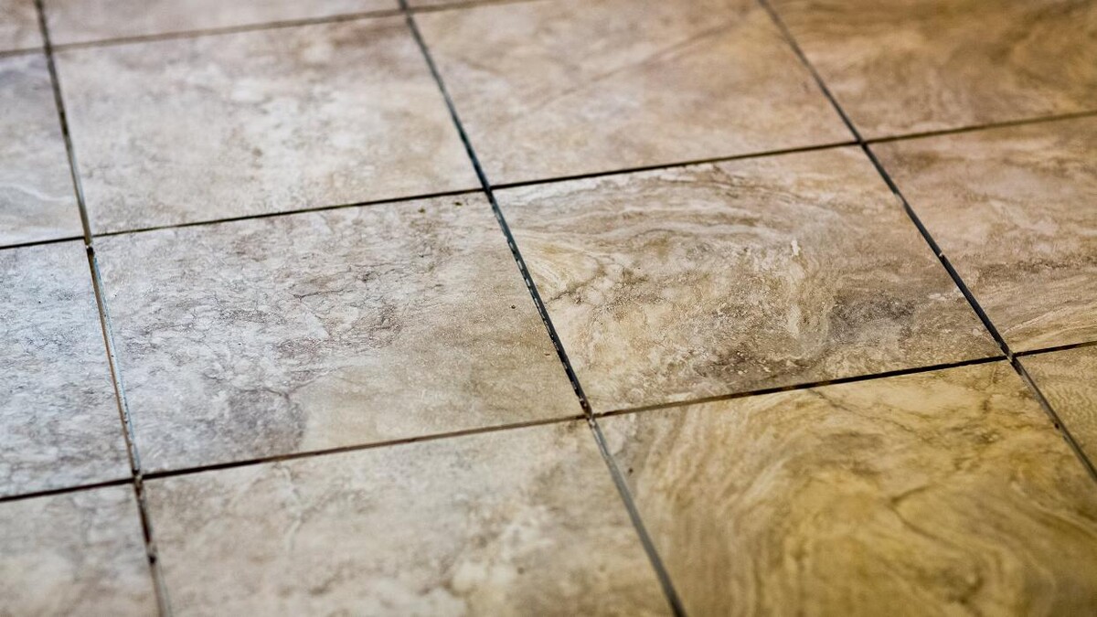 Images 3D Carpet Cleaners Hollywood FL