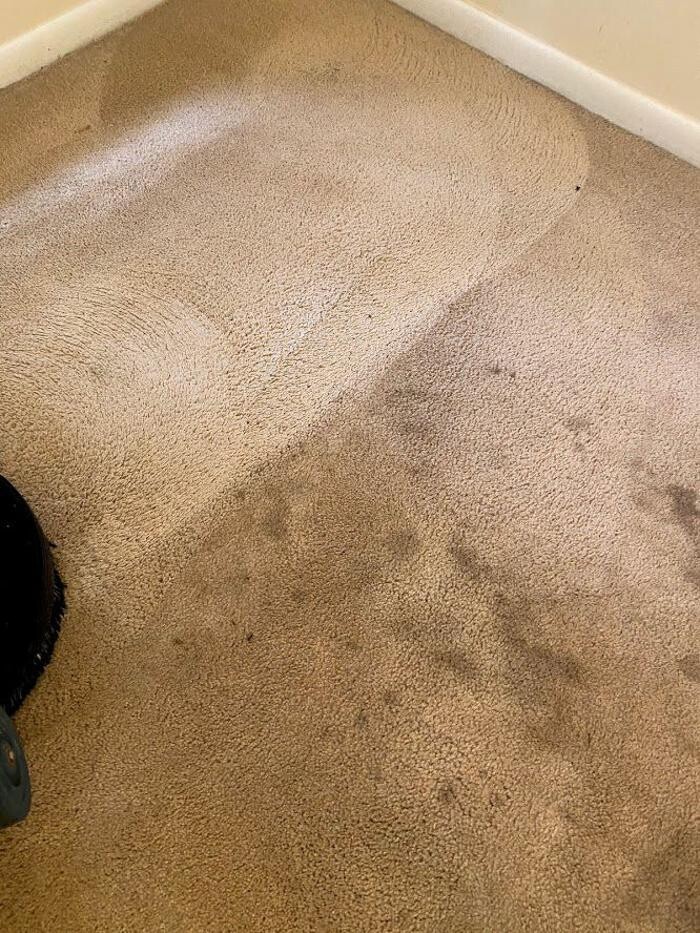Images 3D Carpet Cleaners Hollywood FL