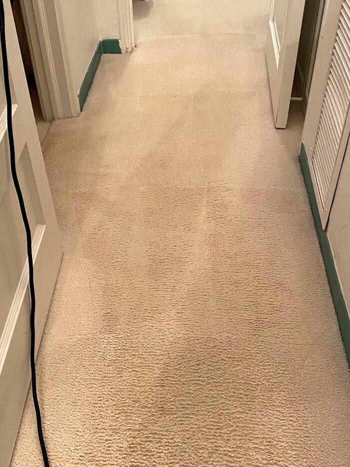 Images 3D Carpet Cleaners Hollywood FL