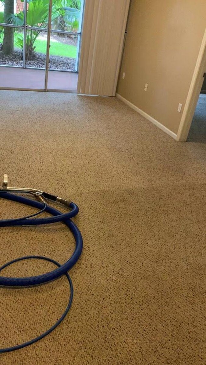 Images 3D Carpet Cleaners Hollywood FL