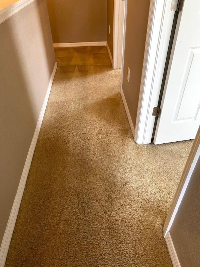Images 3D Carpet Cleaners Hollywood FL