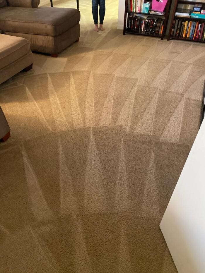 Images 3D Carpet Cleaners Hollywood FL