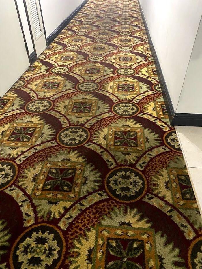 Images 3D Carpet Cleaners Hollywood FL