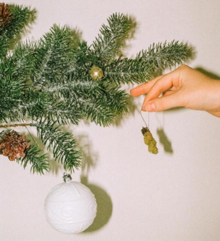 Images JARS Cannabis New River