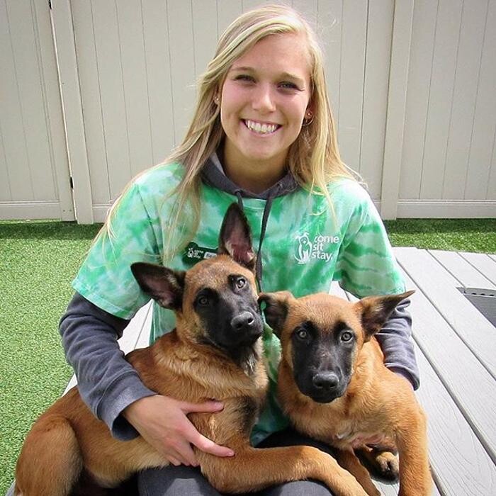 Images Come Sit Stay Pet Resort