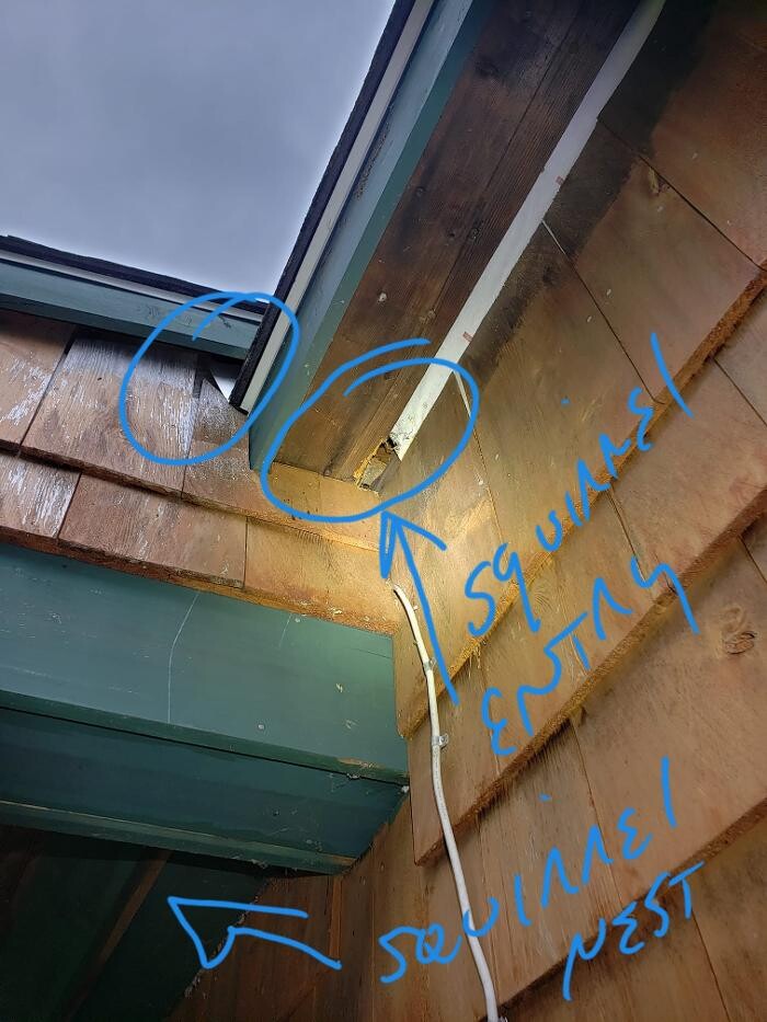 Images Pest Patrol, Inc.