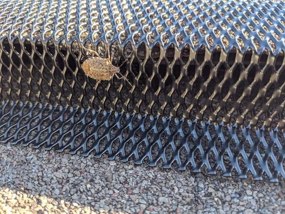 Images Pest Patrol, Inc.