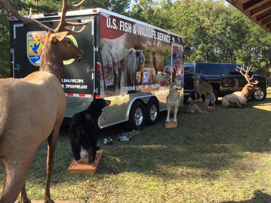 Images Colony City Cargo, LLC