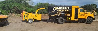 Images Morris Tree Service