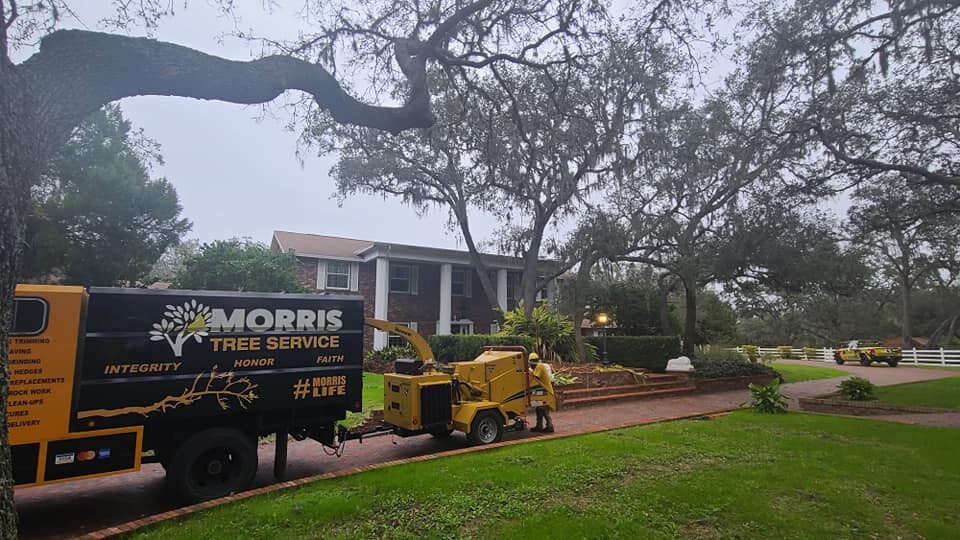 Images Morris Tree Service