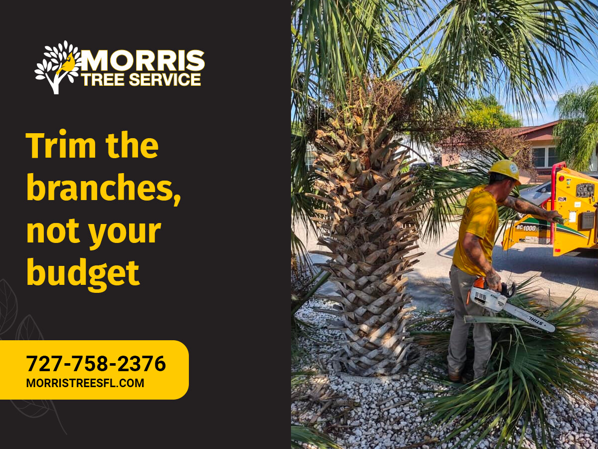 Images Morris Tree Service
