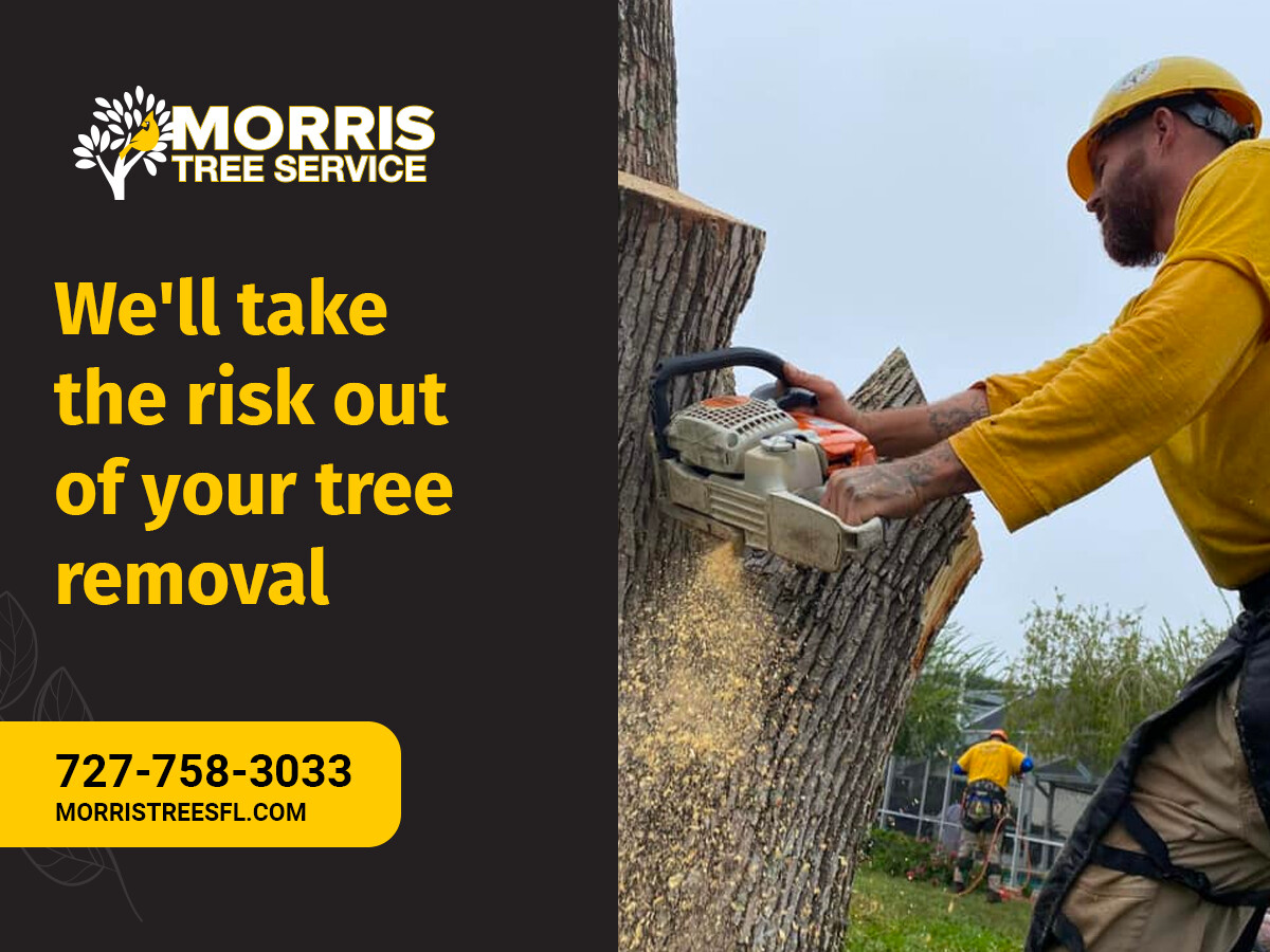 Images Morris Tree Service