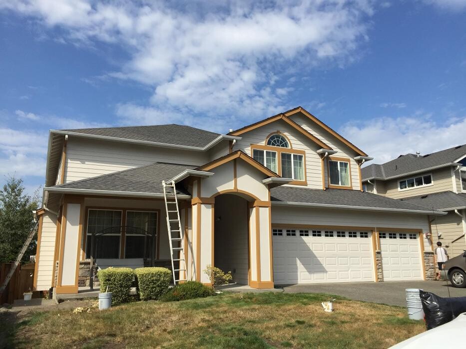 Images NICOV SERVICES LLC PAINTING