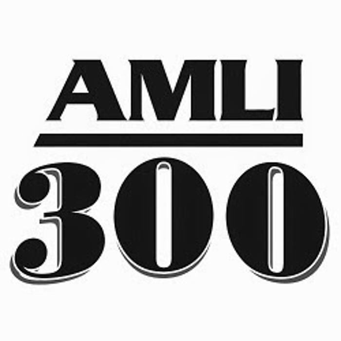 AMLI 300 Logo