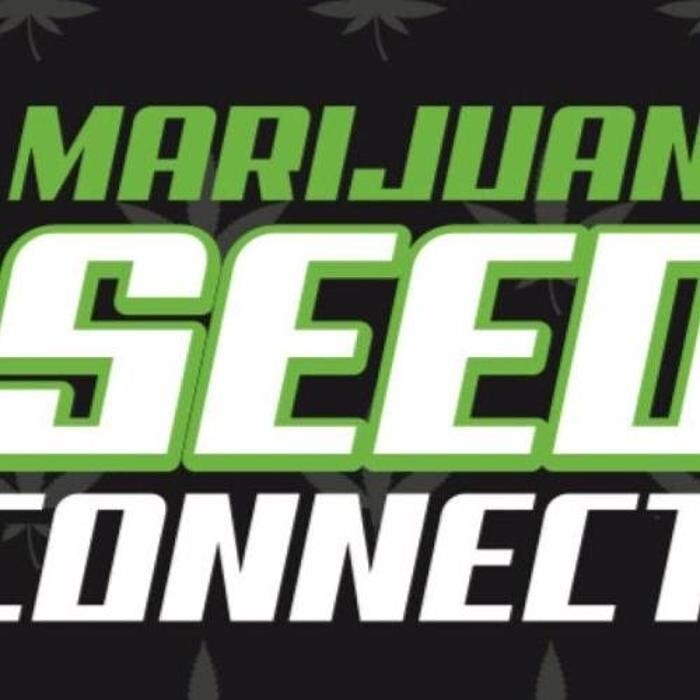 Seed Connect Logo