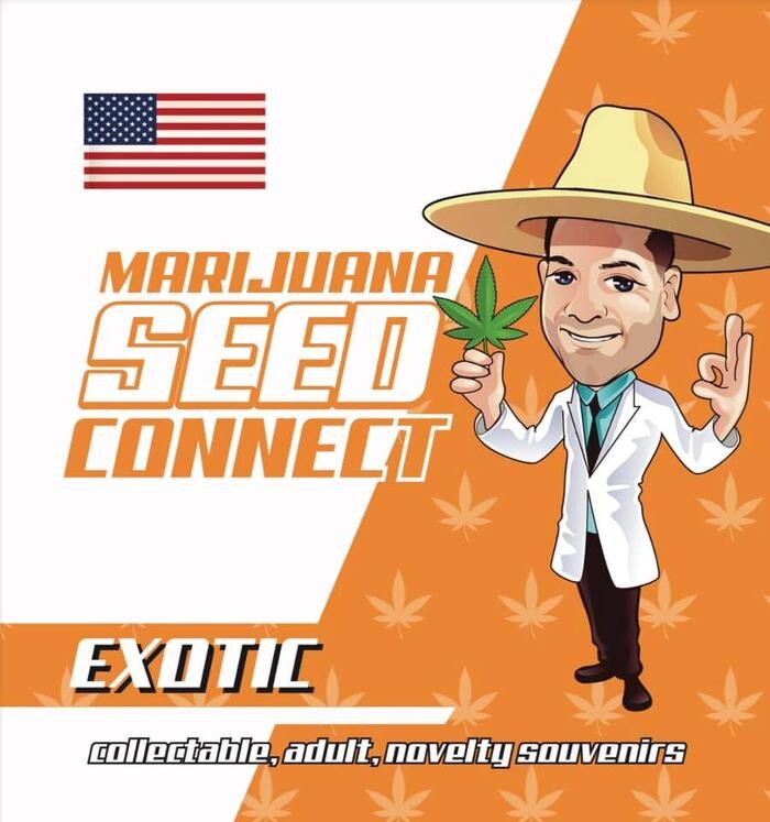 Images Seed Connect