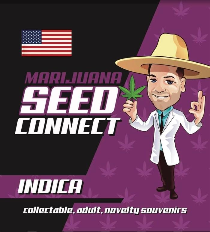 Images Seed Connect