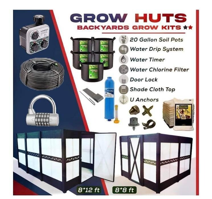 Images Seed Connect